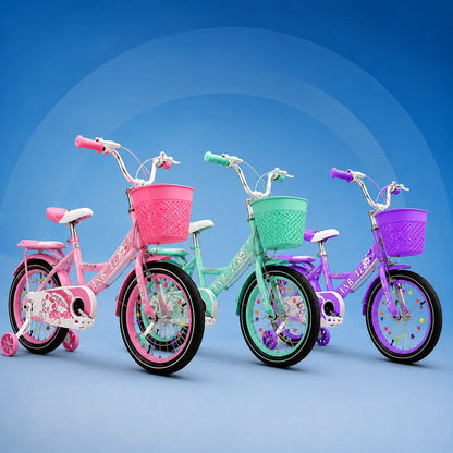 Kids Bicycle With Training Wheels
